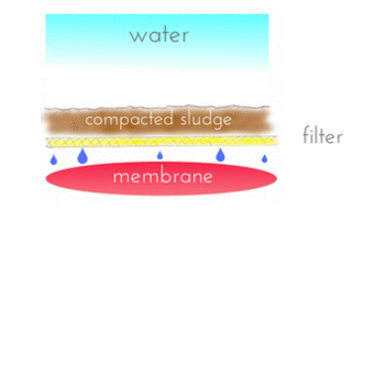 Webp.net-gifmaker (active filtration) Webp.net gifmaker active filtration