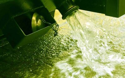 Impianto di disidratazione fanghi - Drybox Oltre - Idee e Prodotti