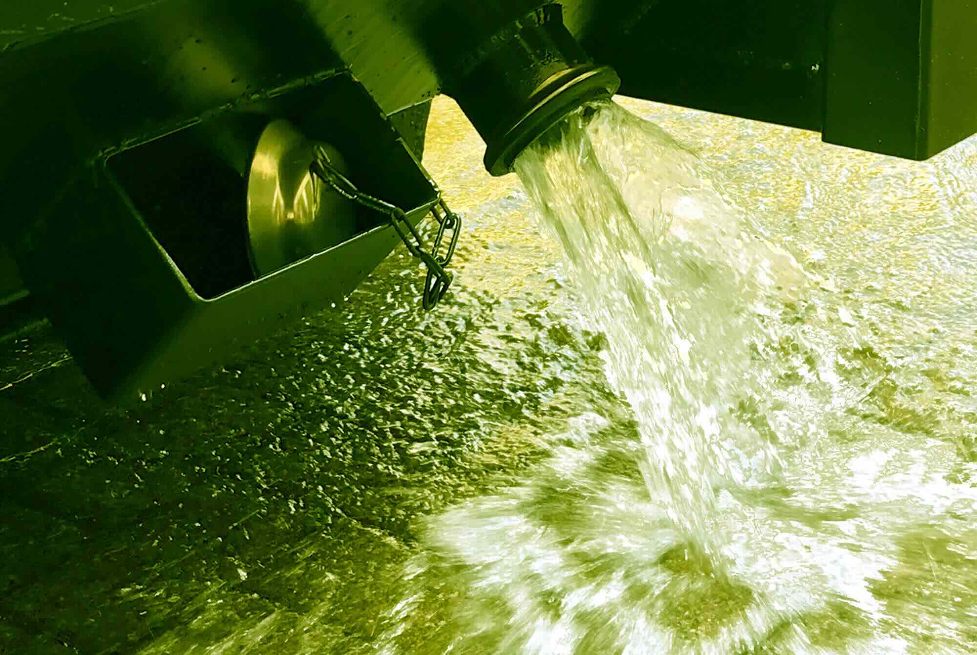Zumix ™ 8 Impianto di disidratazione fanghi Drybox Oltre Idee e Prodotti