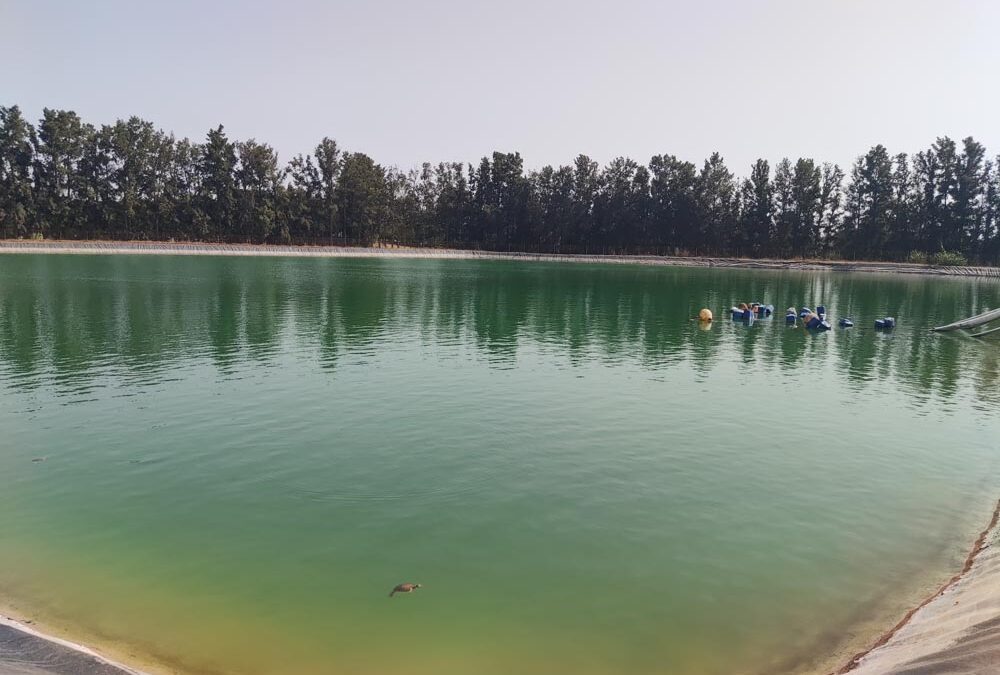 Servizio di pulizia vasca senza fermata: intervento in Marocco su un lago artificiale per irrigazione