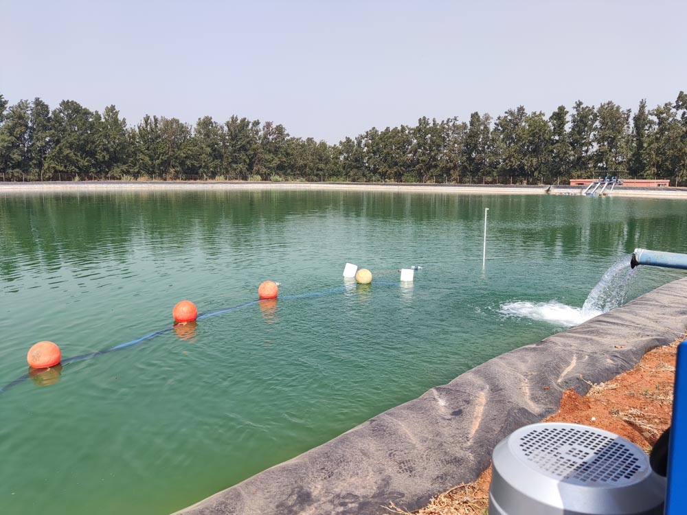 lago artificiale per irrigazione-Idee e Prodotti